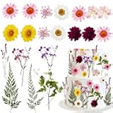 Morofme Wildflower Cake Toppers Flowers Cake Decorations Spring Cupcake Toppers Wildflower Theme Cake Decoration Baby In Bloom Baby Shower Dried Pressed Flower for Birthday Wedding Party Supplies