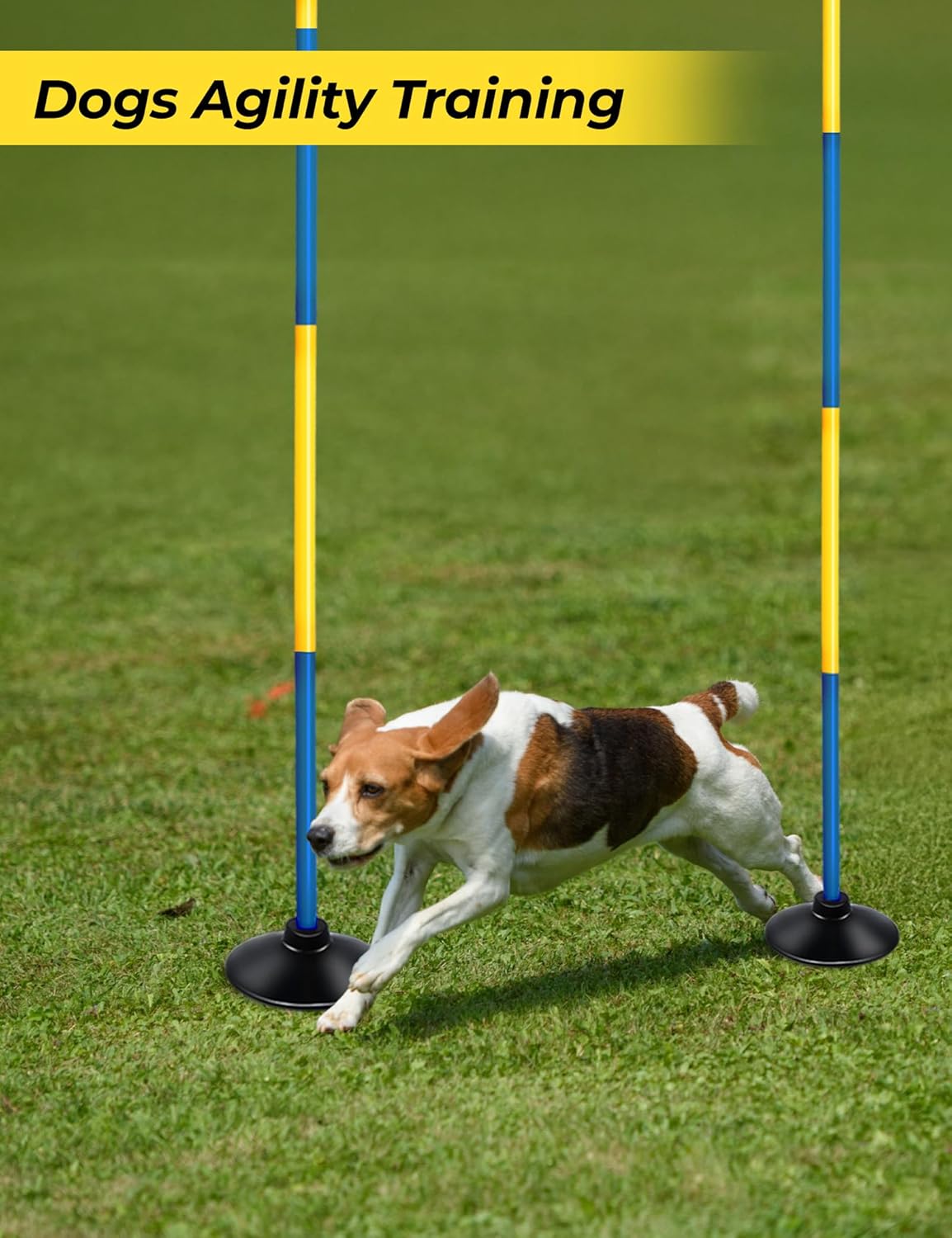 SEAOTTER Soccer Agility Poles with Rubber Base, 4/6/10 Pcs Detachable Sports Speed Agility Training Equipment, Agility Sticks for Football, Rugby, Basketball, Slalom, Indoor & Outdoor