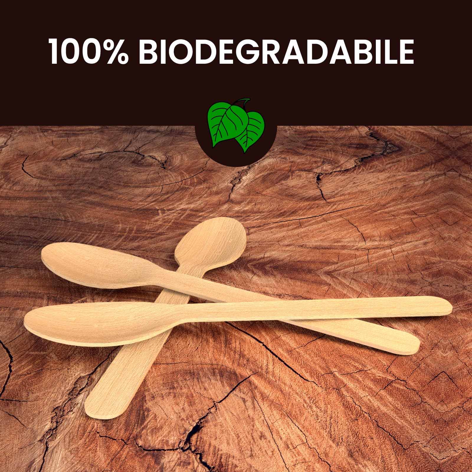 Cucchiai Ecologici in Legno di Betulla Monouso 100% Naturali Biodegradabili Compostabili