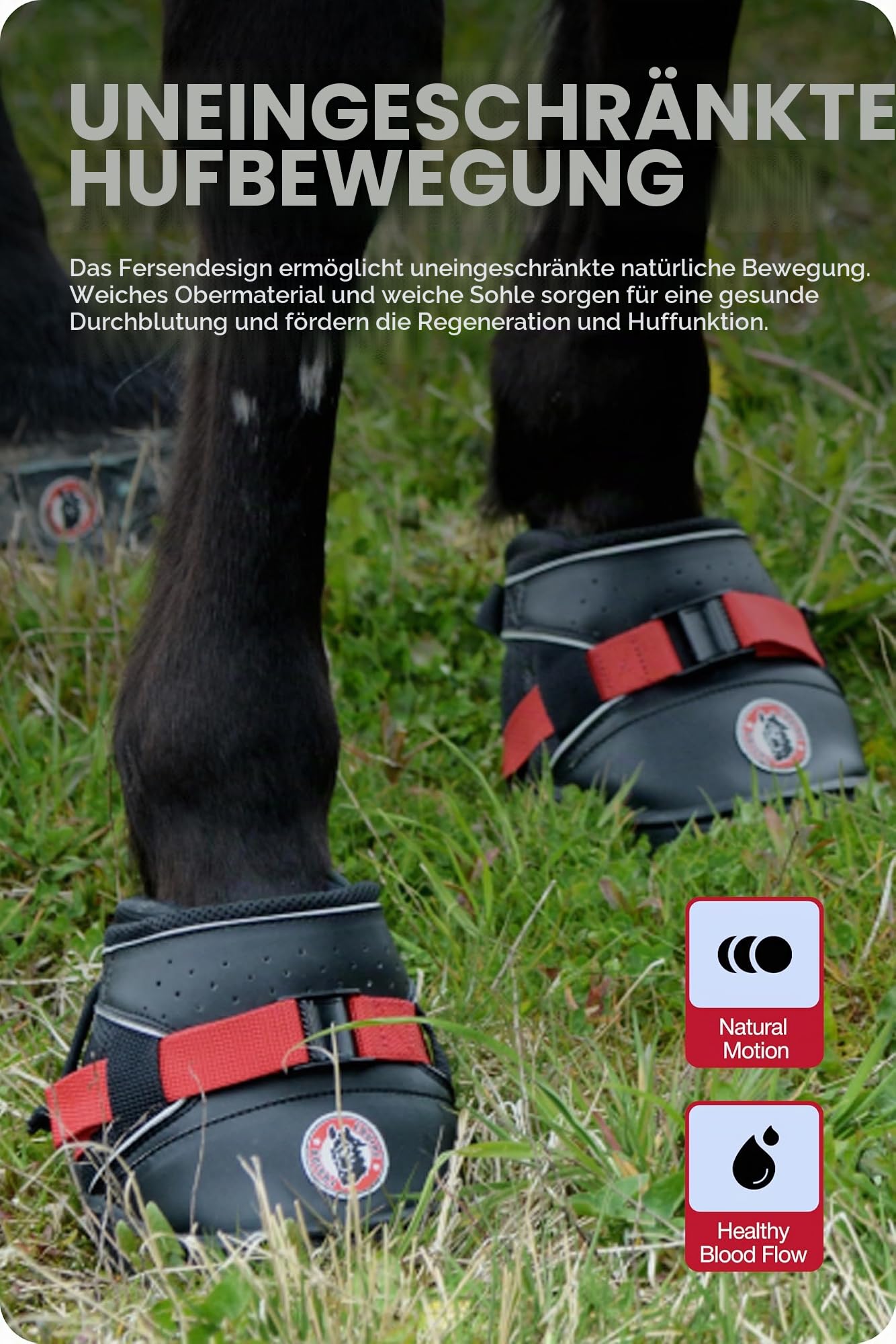 Equine F. Ultra Joggin Shoe 14, schwarz