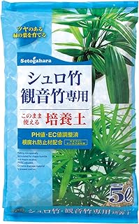 Amazon Co Jp 観音竹