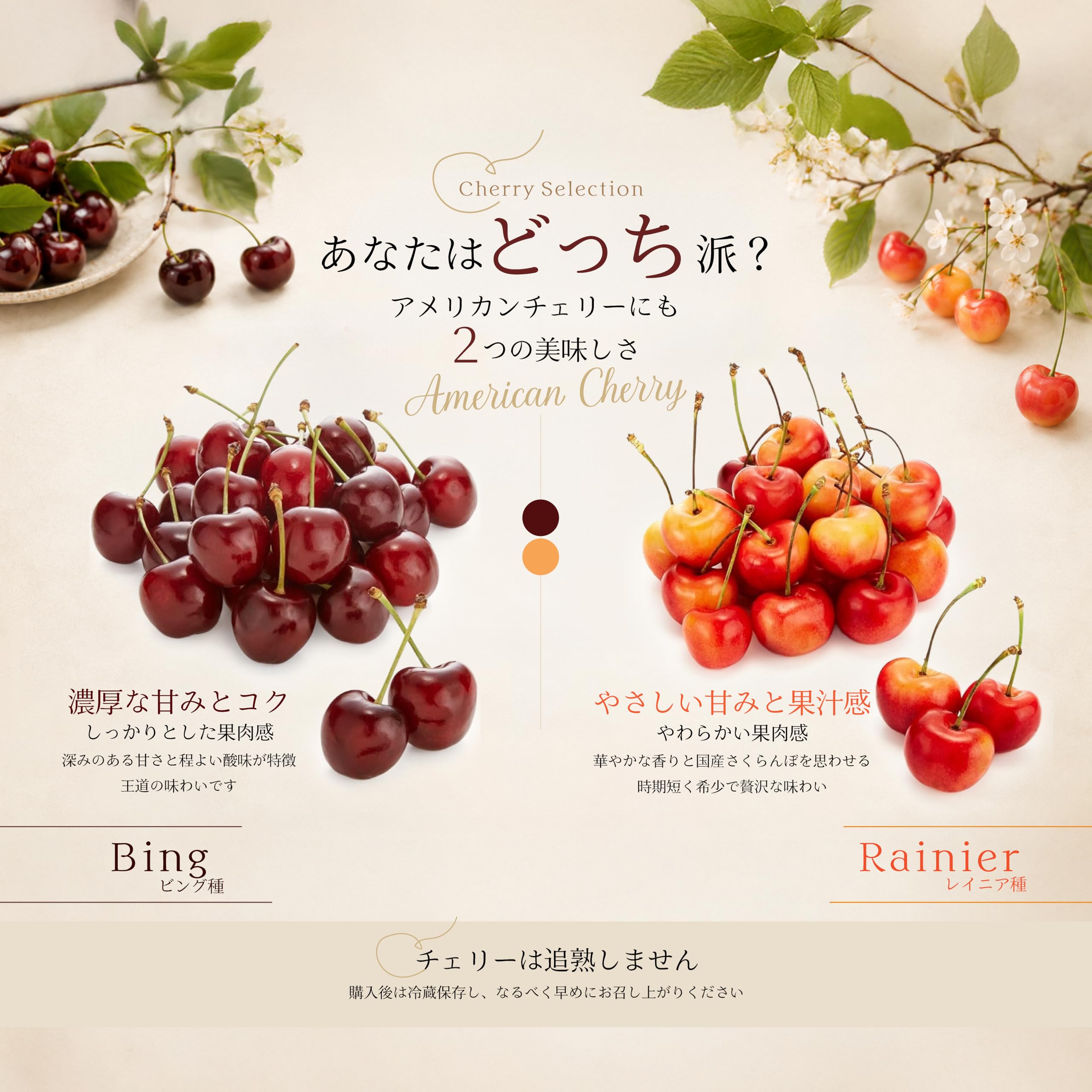 Amazon.co.jp: 輸入 アメリカンチェリー 1パック200g : 食品・飲料・お酒