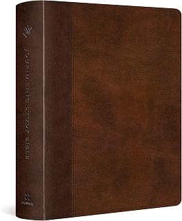 ESV Journaling Study Bible TruTone Brown/Chestnut: 12,000 Notes, 2-Inch Margins for Prayers & Illustrations, ESV Translation