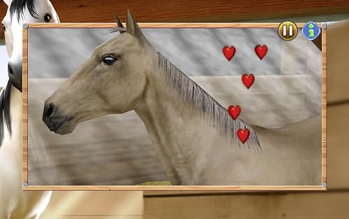 My Western Horse – Premium & Childproof!
