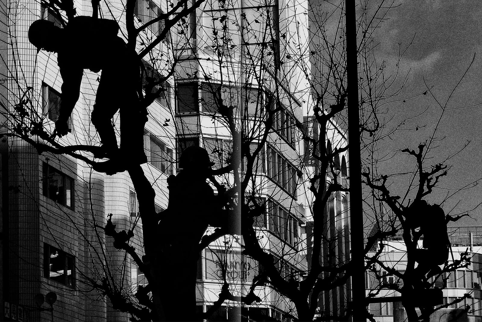 Daido Moriyama – Record 2
