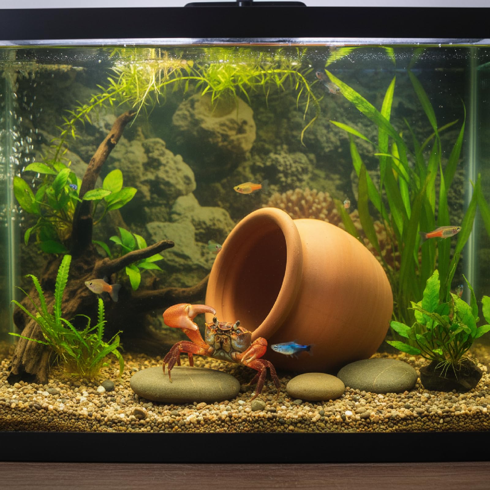 AnRui Betta Fish Tank Decor Ceramic Jar Aquarium Accessories Decorations Cute Clay Pot Hideout Cave Ornaments for Small Fish, Shrimp, Cichlid to Play Hide Breed, Large : Pet Supplies