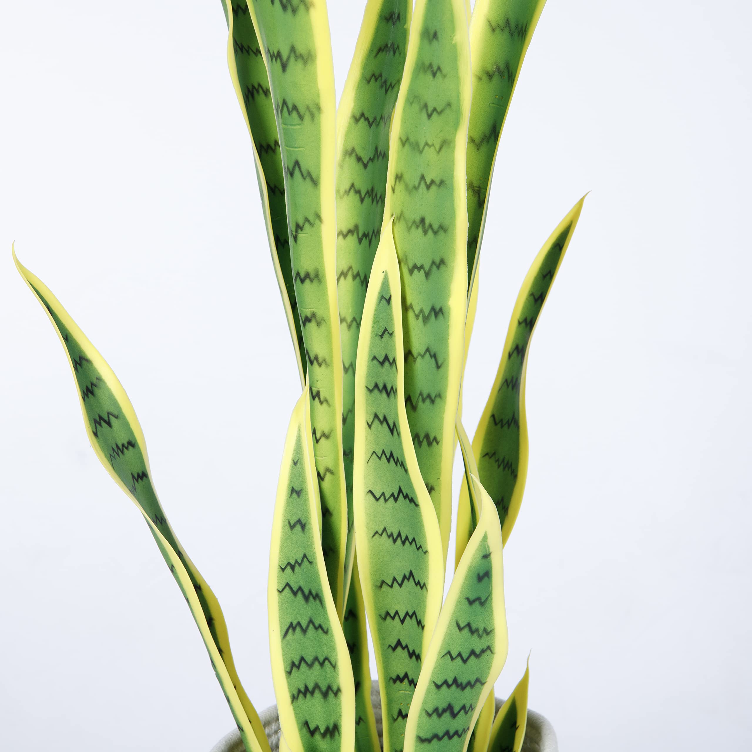 Vintage Home Artificial Agave Plant in a Rope Basket| 36