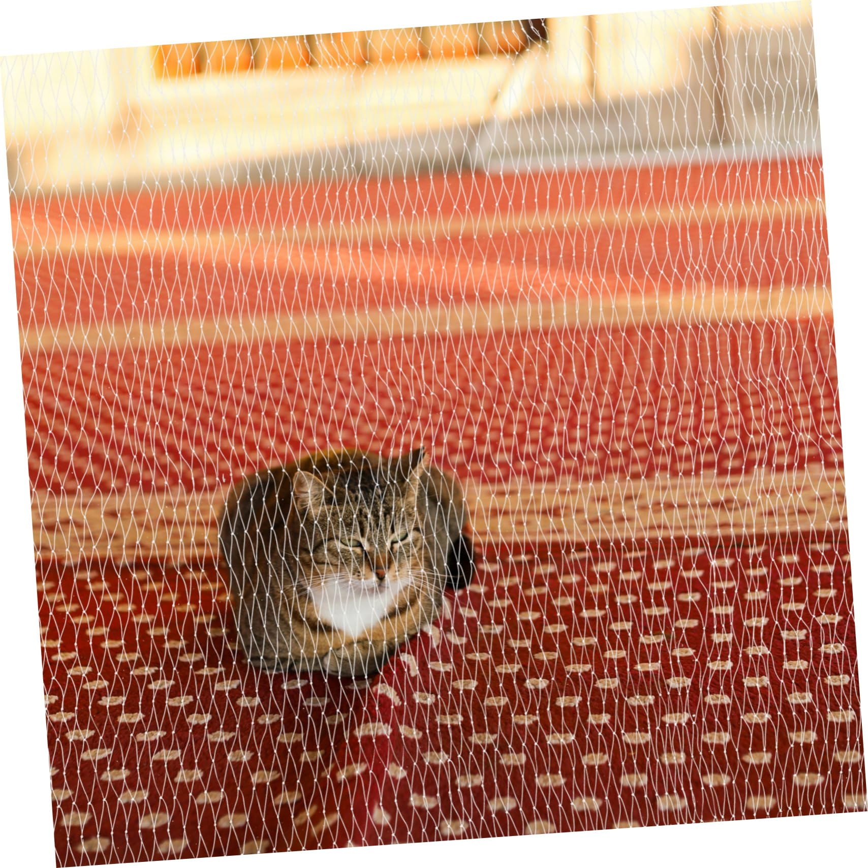 BESPORTBLE Rete Anticaduta per Gatti E Cani per Balcone per Appartamento Facile da Installare Bianca