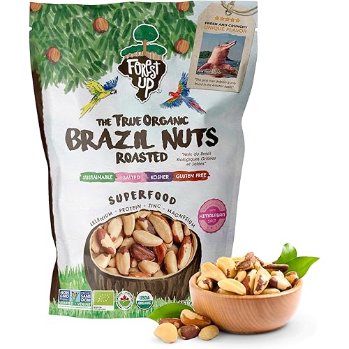 FLORESTA EM PÉ - The True Organic Premium Brazil Nuts (15oz) Roasted & Himalayan Salt | KOSHER | Non-Gmo | Certified Organic | No Oil | Fresh | Vegan | Gluten Free | Keto and Paleo Friendly | Sustainably Harvested