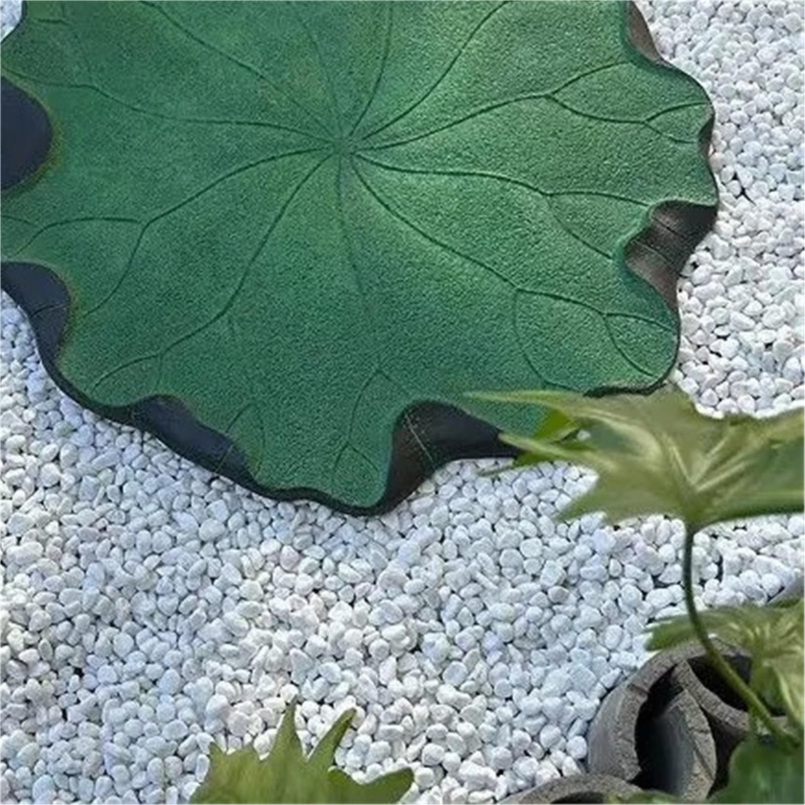 Pas Japonais Jardin 5 pièces de tremplins for pelouse en feuille lotus