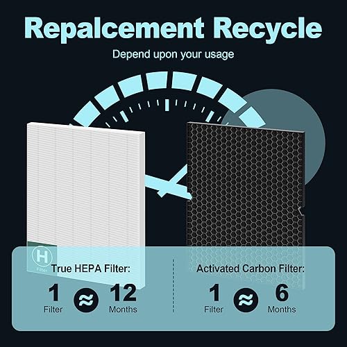 Miniatura 10 de 116130 Filtro de repuesto H para purificador de aire Winix 5500-2 y AM80, filtro HEPA y filtro de carbón activado paquete combinado por PETOX