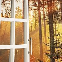 Vista 30 de HVEST Tapiz de otoño para colgar en la pared, diseño rústico de calabaza, Acción de Gracias, bosque de arce, paisaje natural para sala de estar