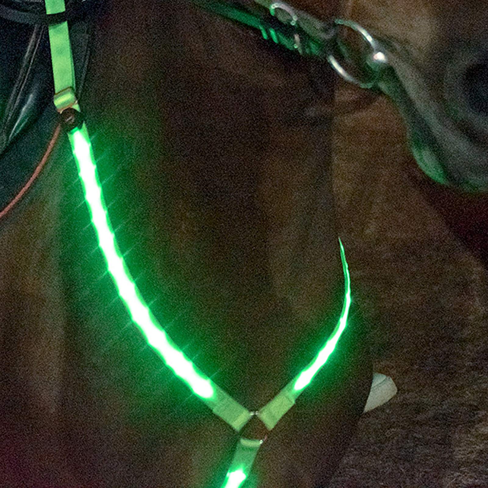 Collares de coraza de Caballo Intermitente,LED Collar de Tachuela de Alta Visibilidad Correa de Pecho de Caballo Luminosa Equipo de Equipo de Seguridad para Montar a Caballo de Noche,Verde