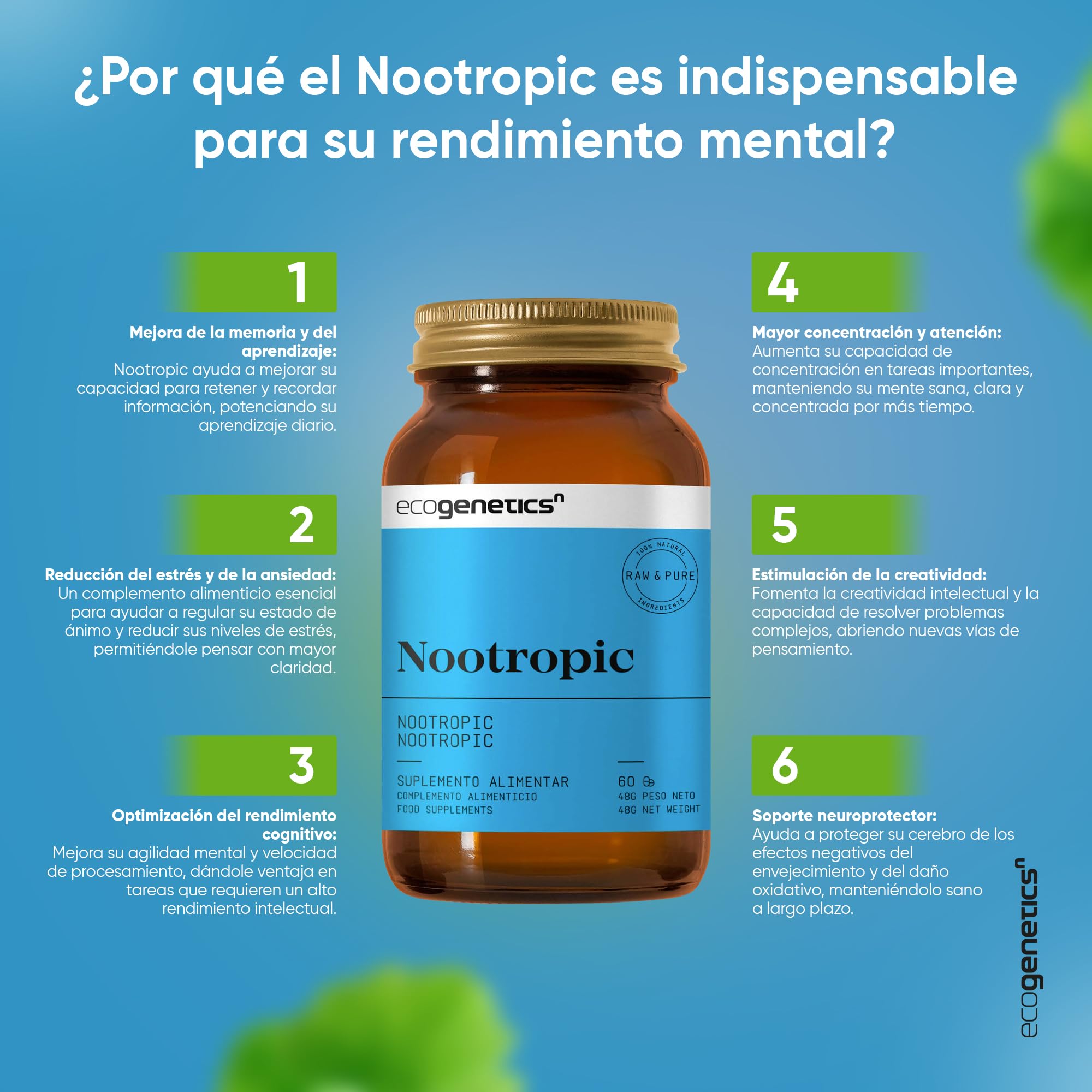 ECOGENETICS - Nootropic 60 Cápsulas | Potenciador Cerebral con Ginkgo Biloba, Vitamina B12 | Nootropicos Memoria y Concentracion | Complementos Alimenticios Veganos para Estudiantes