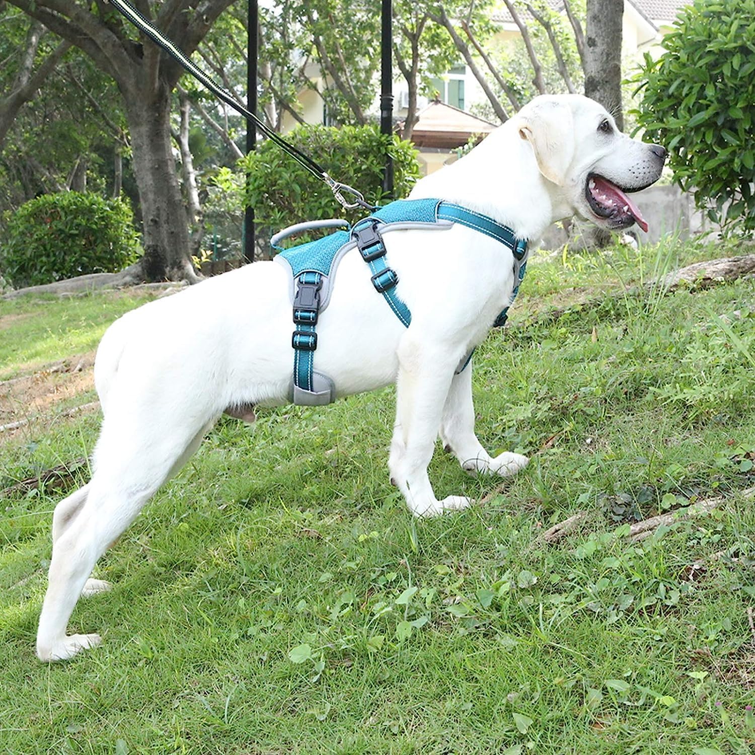 Mehrzweck-Hundegeschirr, ausbruchsicher, kein Ziehen, reflektierend, verstellbare Weste mit strapazierfähigem Griff, Hundegeschirr für große/aktive Hunde (Blau, M)