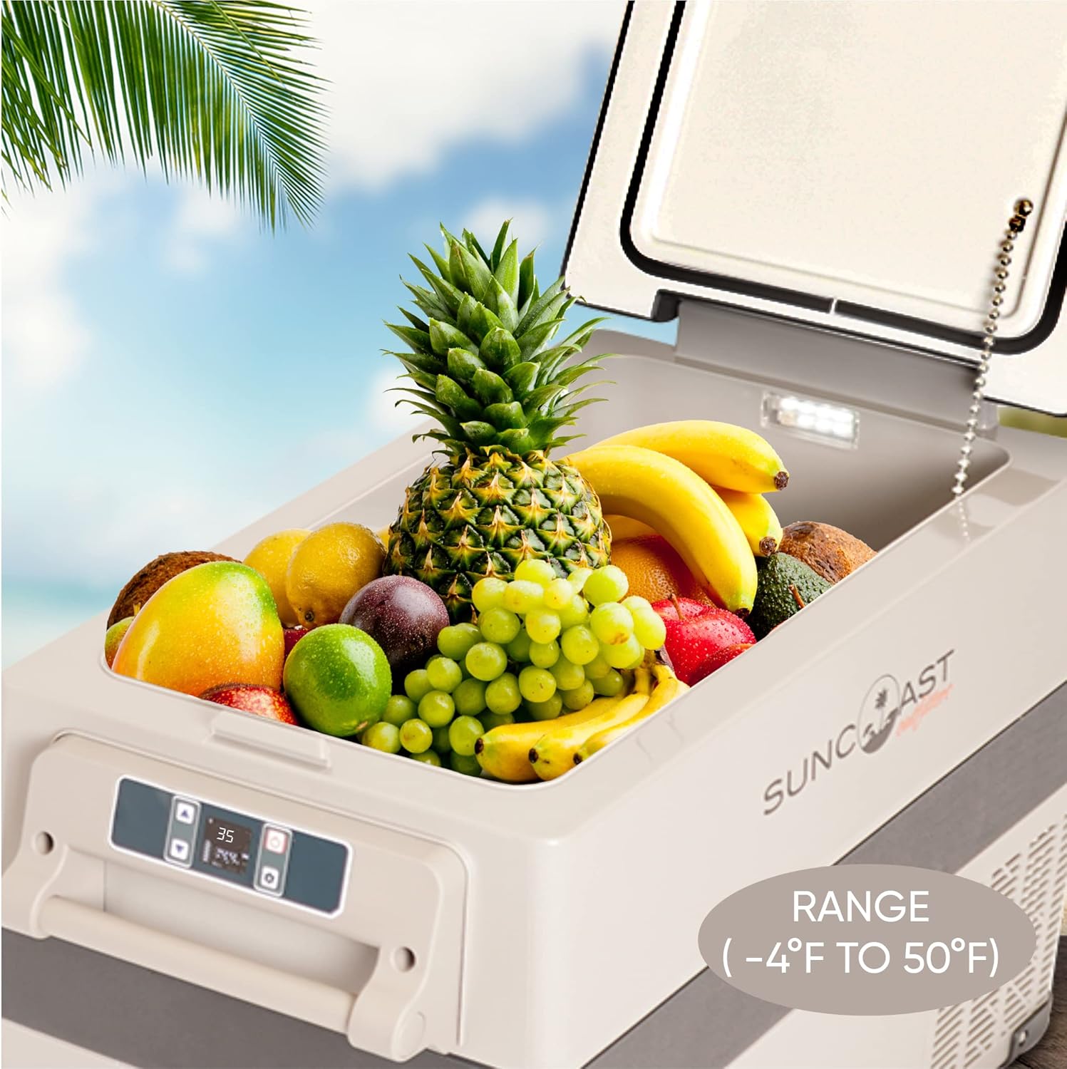 Buy SUNCOAST OUTFITTERS Mini Portable Refrigerator 2 in 1 35 Liter