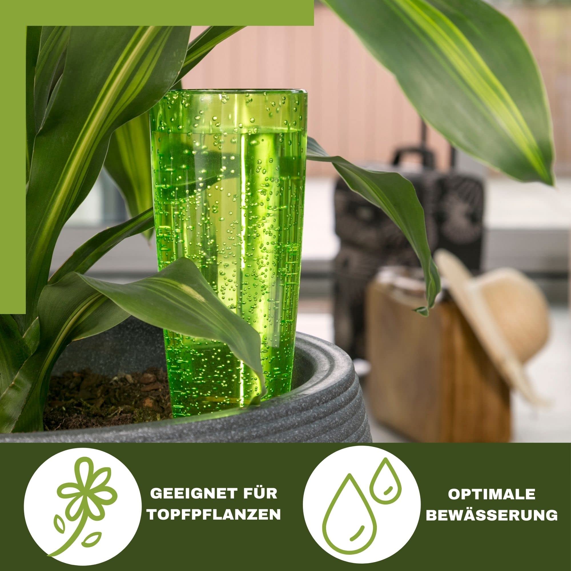 Scheurich Wasserspender Copa XXL | 4er Set Grün/Transparent | 1000 ml Füllmenge | Bewässerungskugel klein mit Ton Fuß | Wasserspender Pflanzen und Blumen Terrakotta Stiel