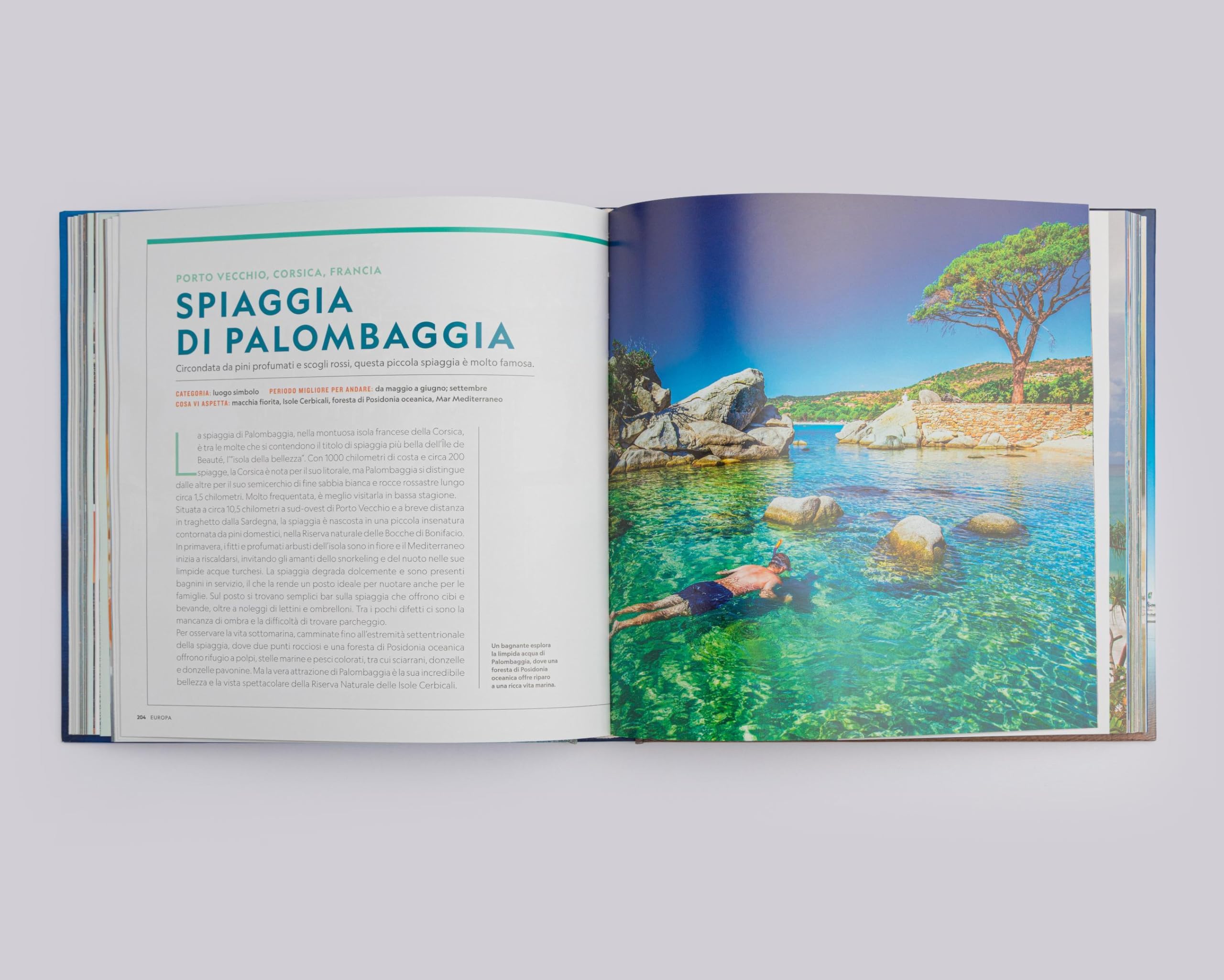 Puglia. Terra di luce, cultura e tradizione