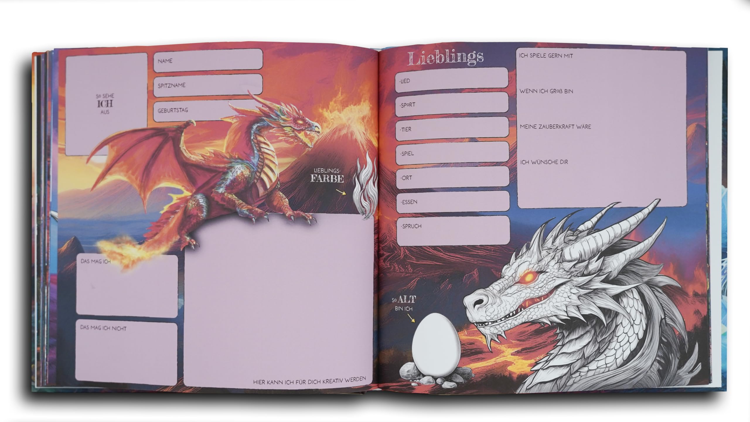 Livre d'amitié Mon dragon ami pour garçons et filles maternelle école primaire Cadeau rentrée des classes