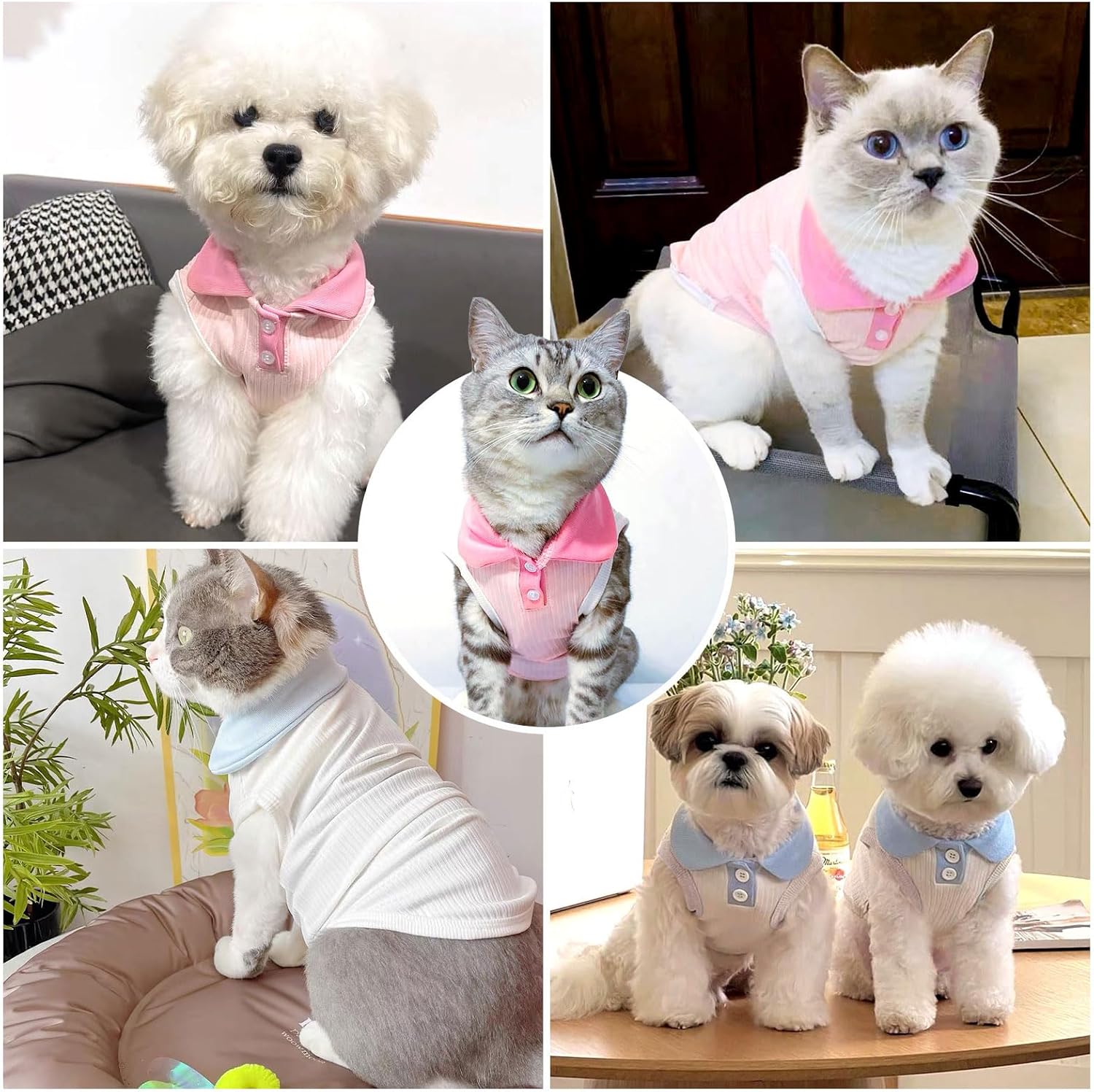 2 Pack Dog Tshirts for Small Dogs Polo Shirt Stretchy Dog T Shirt Breathable Dogs Cooling Vest Girl Boy Puppy Dachshund French Bulldog Frenchie Chihuahua Clothes (Pink & White,)