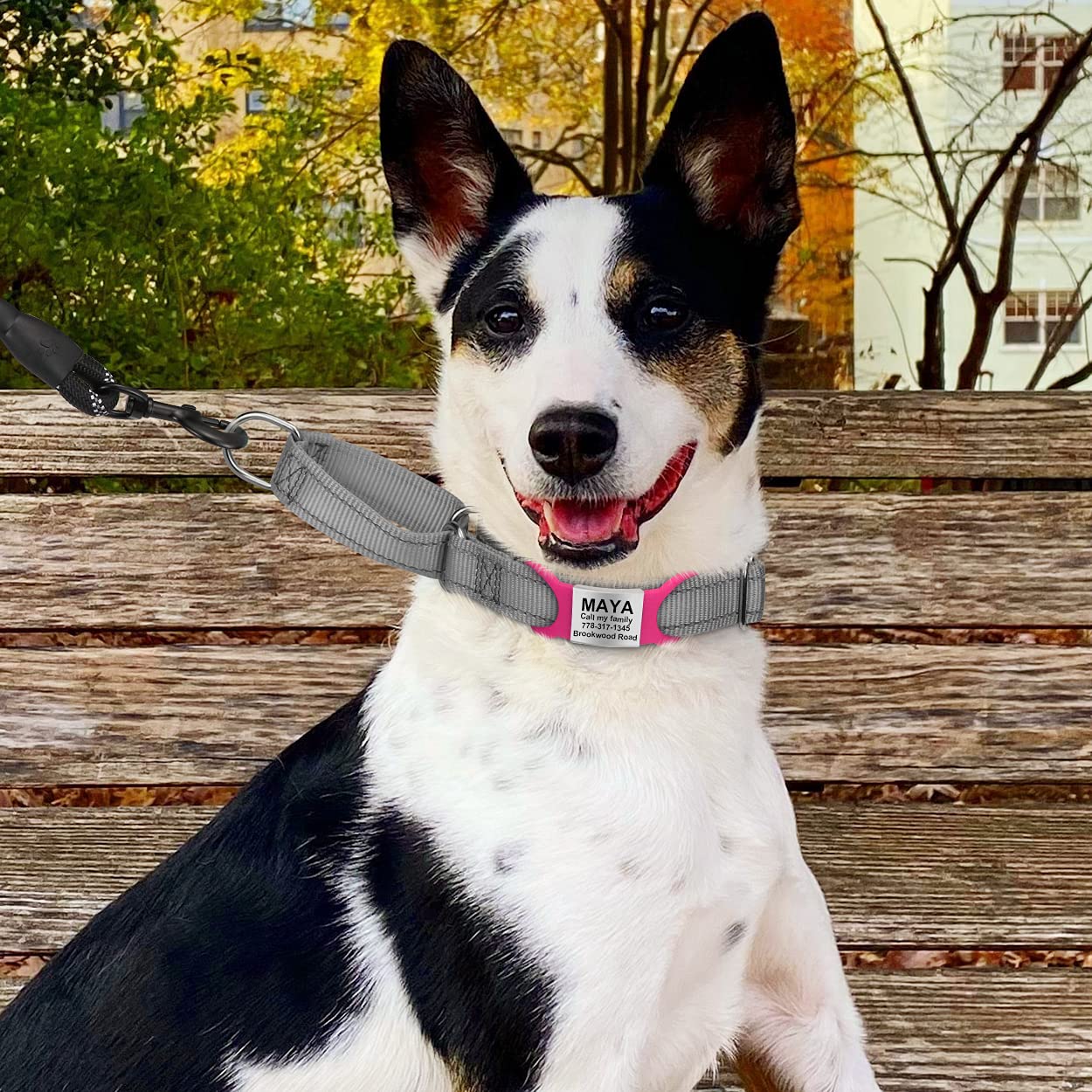 TagME 2 Pack Personalized Dog Tag, Dog Tags for Name Engraved, No Jingle Slide on Cat ID Tag, for Medium Large, Hot Pink