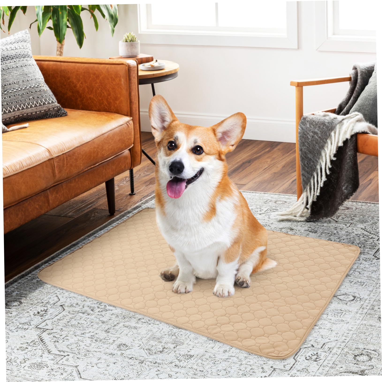 2piezas Almohadillas Impermeables Anti-orinar para Gatos y Perros Empapadores para Orina De Mascotas Lavables para Entrenamiento De Baño y Protección De Camas De Perros Unidades