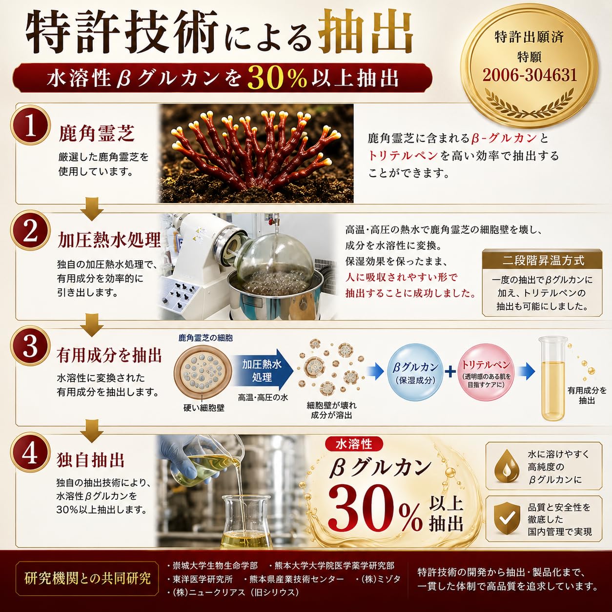Amazon.co.jp: 『宝寿仙』熊本県産 幻 鹿角霊芝 ろっかくれいし最先端 