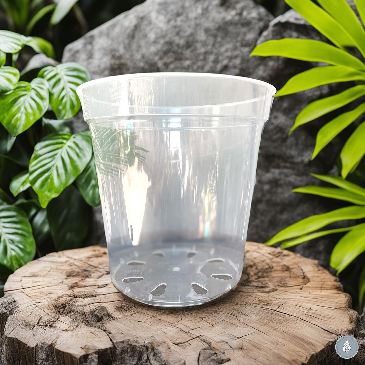 karenplantsplants™ 8" Clear Plastic Nursery Pot (Clear 5