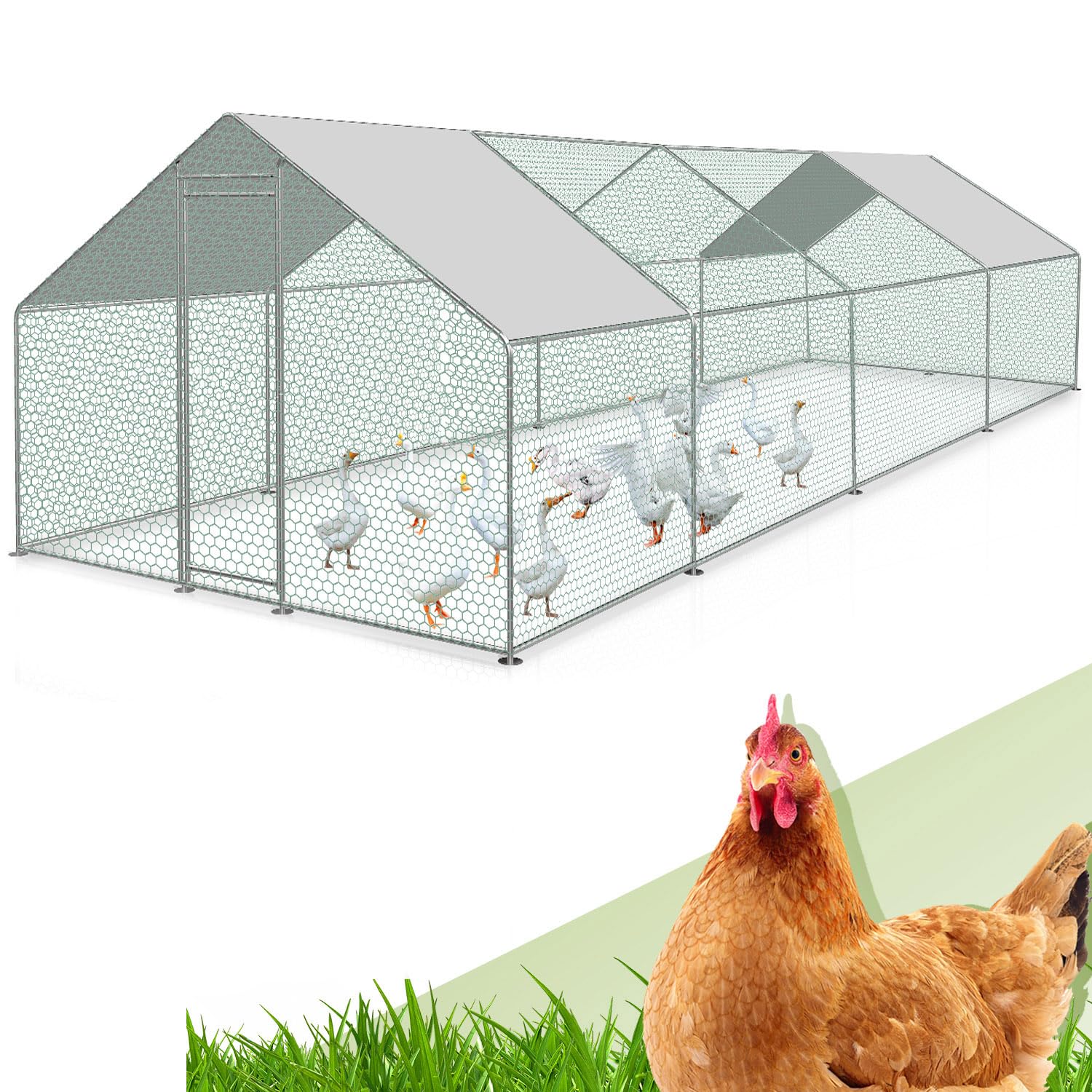Randaco 3 x 8 x 2 m, gallina a ruota libera, XXL in acciaio zincato, con tetto parasole e porta per animali domestici, gabbia per uccelli, piccoli animali, con lucchetto