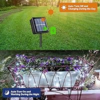 Vista 4 de QITONG - 4 paquetes de luces solares de Navidad blancas, cada una de 33 pies, 100 LED, luces de hadas impermeables para exteriores, 8 modos, luces