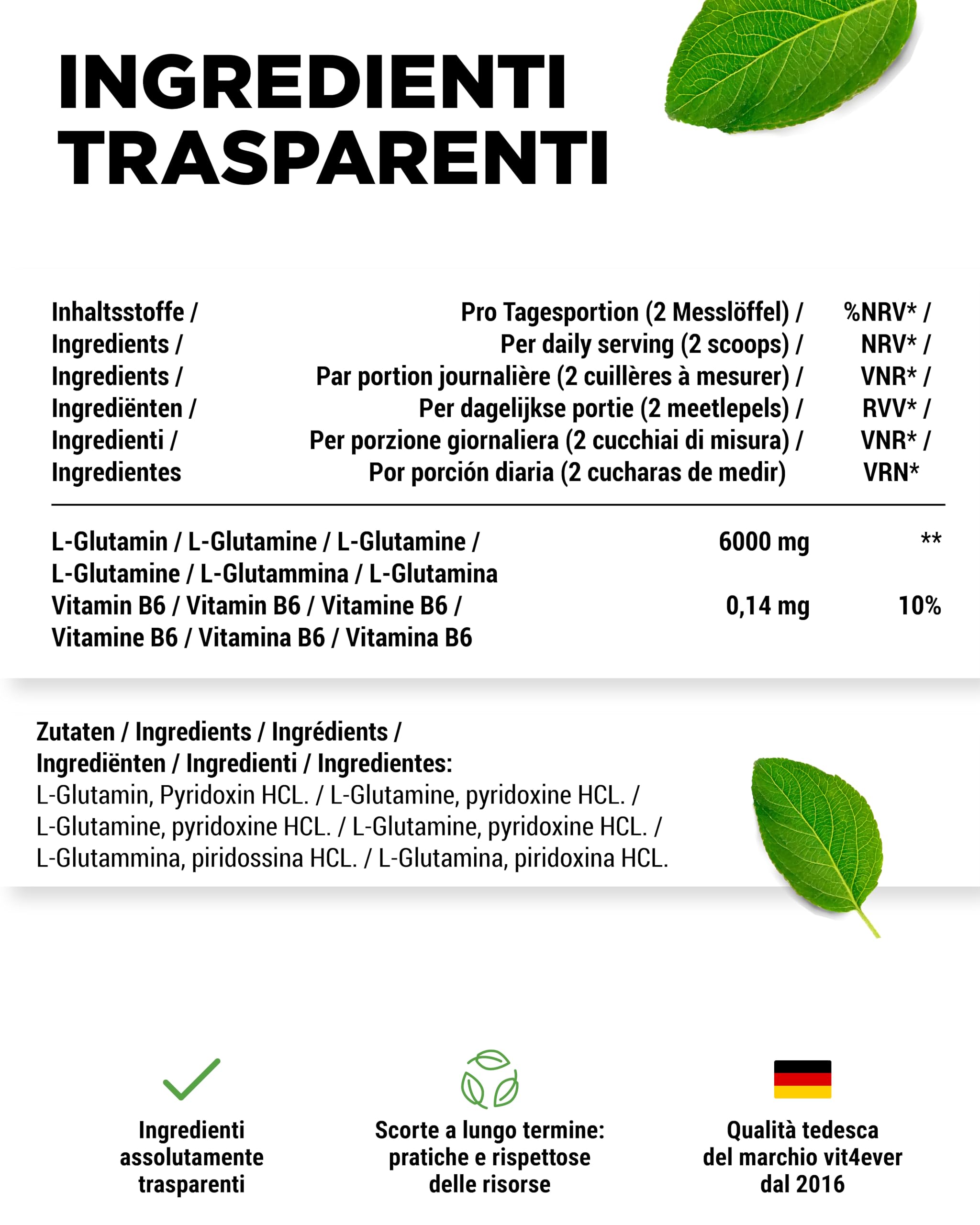 vit4ever Polvere di L-glutammina - 1000 g / 1 kg - Polvere di amminoacidi ultrapura, extra ad alto dosaggio - 100% vegana - Prodotta tramite fermentazione vegetale