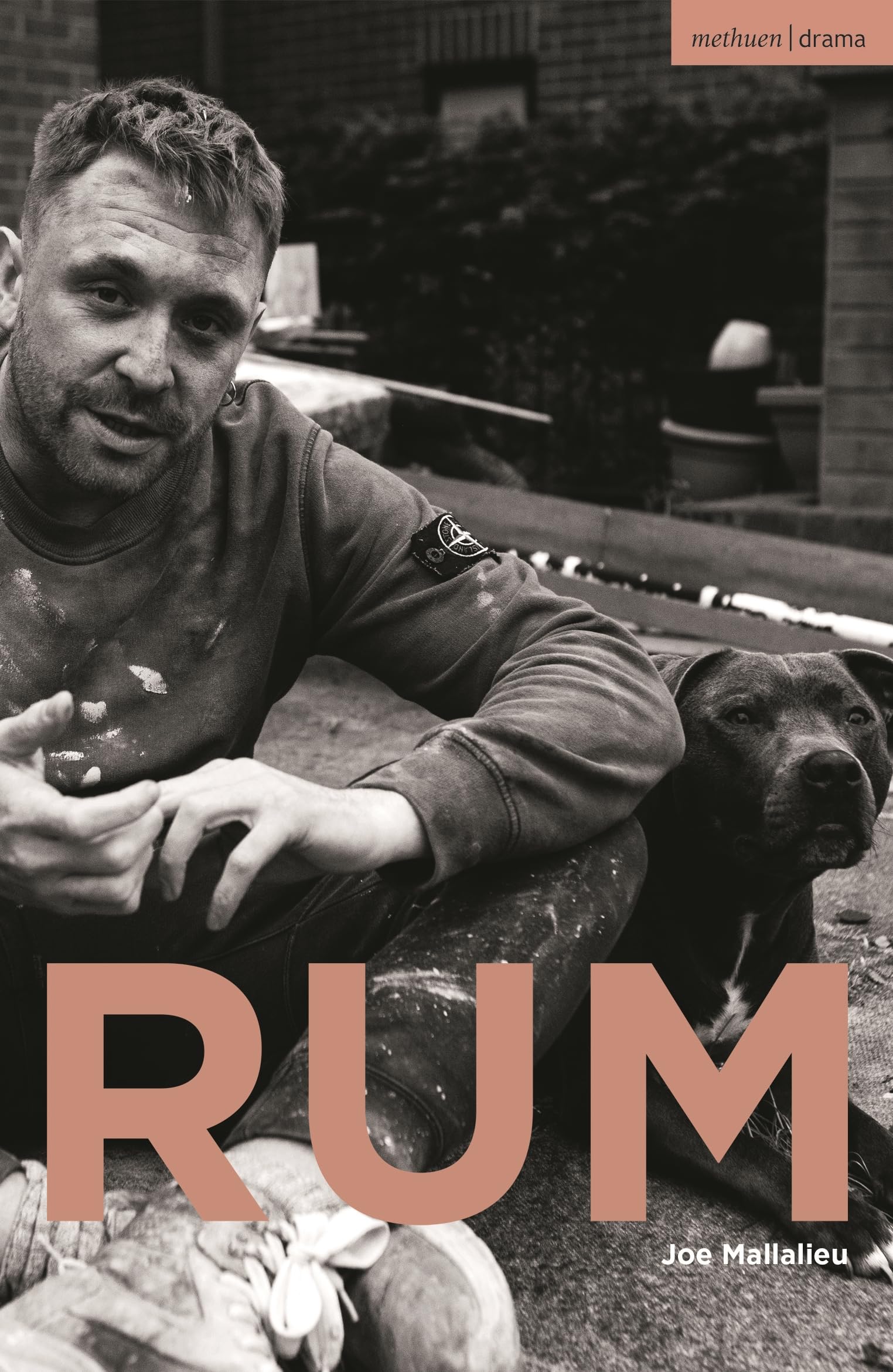 RUM (Modern Plays)