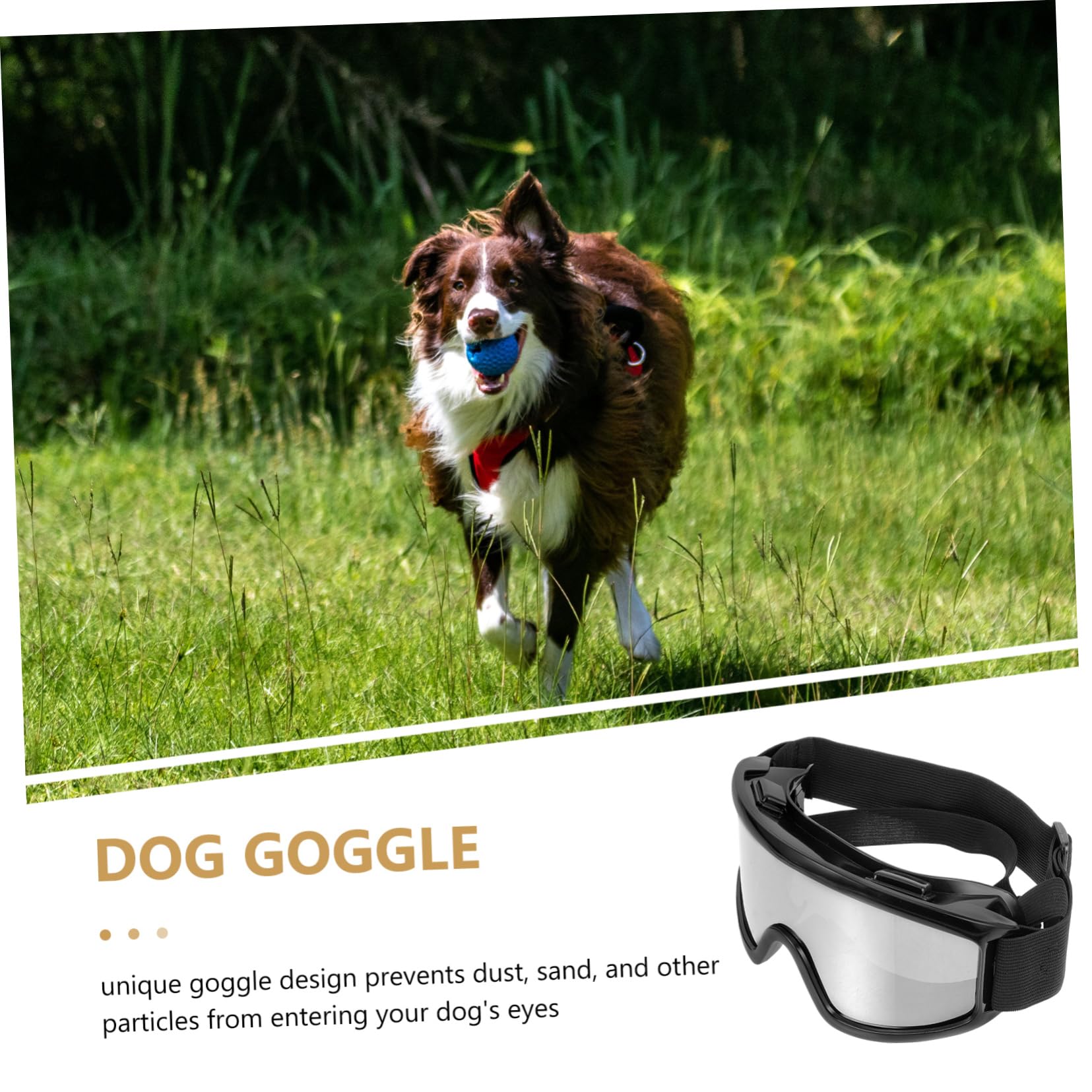 BESPORTBLE 5pezzi Occhiali Protettivi Per Cani Design Alla Moda e Creativo Protezione Dagli Agenti Atmosferici Per Attività All Aperto Accessori Per Animali Domestici