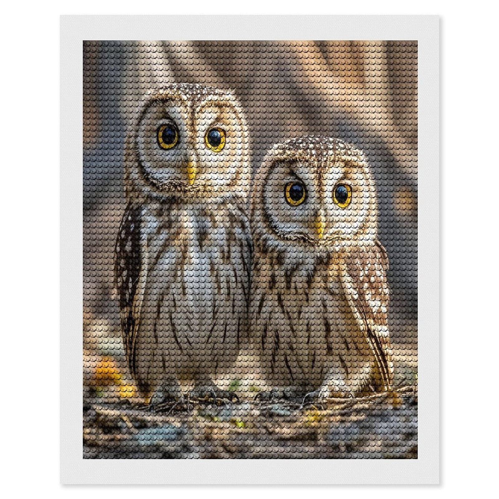 FekiLoot Real Cute Owls Diamond Painting Kits for Adults Full Round Drill Diamond Art Kits for Beginners 5D DIY Diamond Dots Paintings Diamonds Pictures Gem Art Home Wall Decor 16"x20"