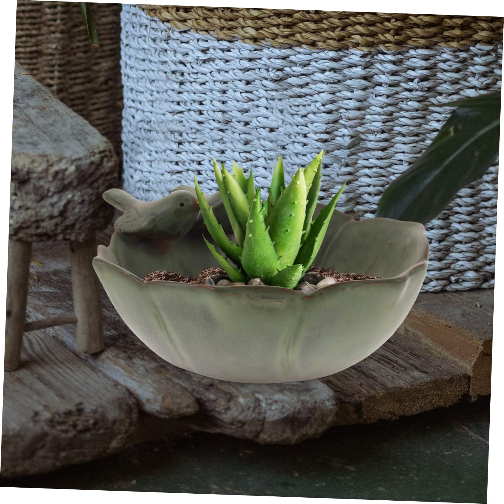 Toyvian Vaso Di Fiori Increspato Pianta Ciotole Succulente Da Giardino Succulento Decorativo Fioriere Piccolo Argilla Vaso Succulento Con Fori Carino Arredamento Fioriera Ceramica