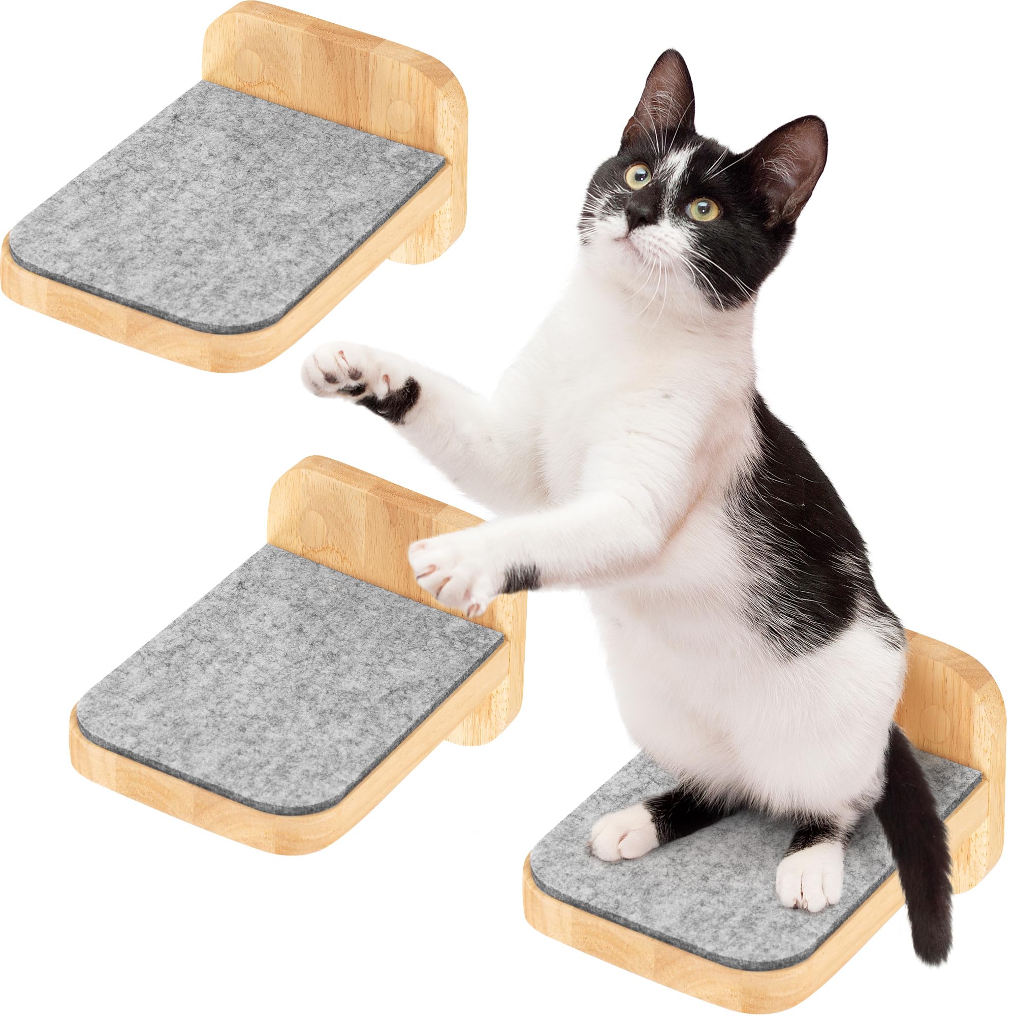 HAPPYPET Katzentreppen 3er-Set für Wandmontage - Nachhaltiges Hartholz, Designer Kletterwand Katzen, Katzentreppe mit Filzbezug, Katzenleiter, Katzenwand zum Klettern, Catwalk, Größe M 22 x 15 cm
