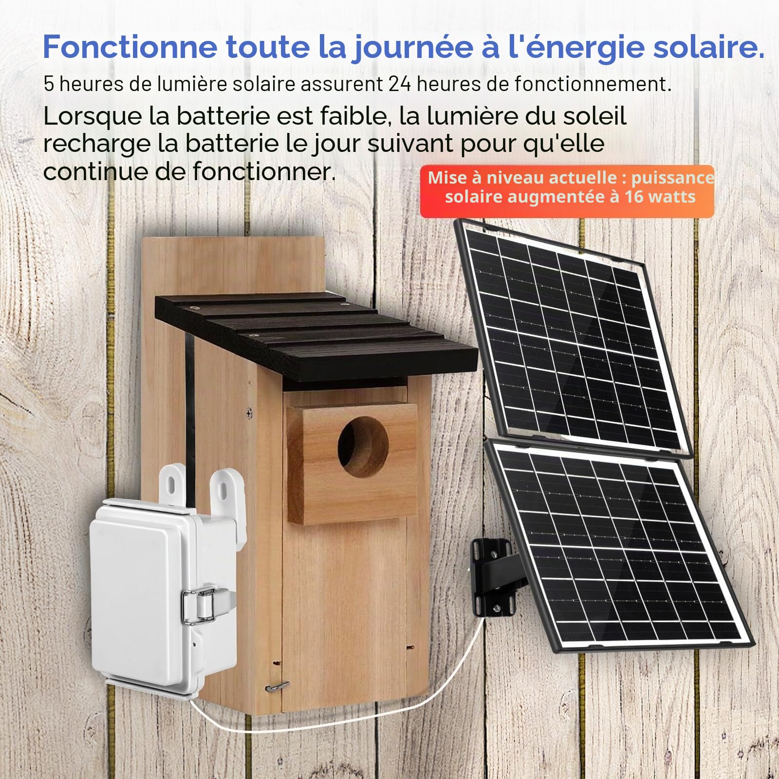 WIWACAM Caméra solaire WiFi pour nichoirs BirdBox