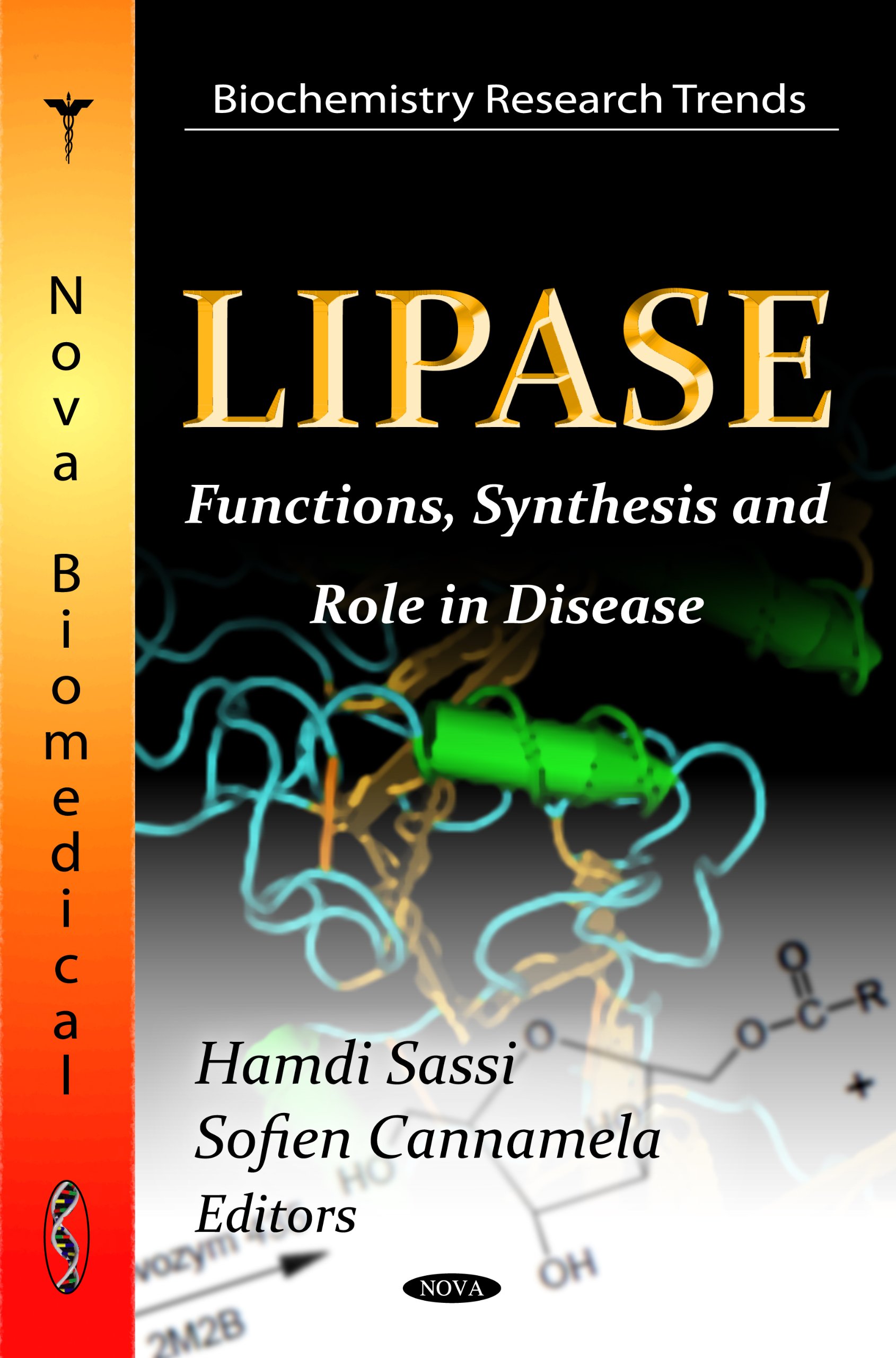 Buy Lipasee: Functions, Synthesis and Role in Disease (Biochemistry Research Trends: Biotechnology in Agriculture, Industry and Medicine) — BookShops.in
