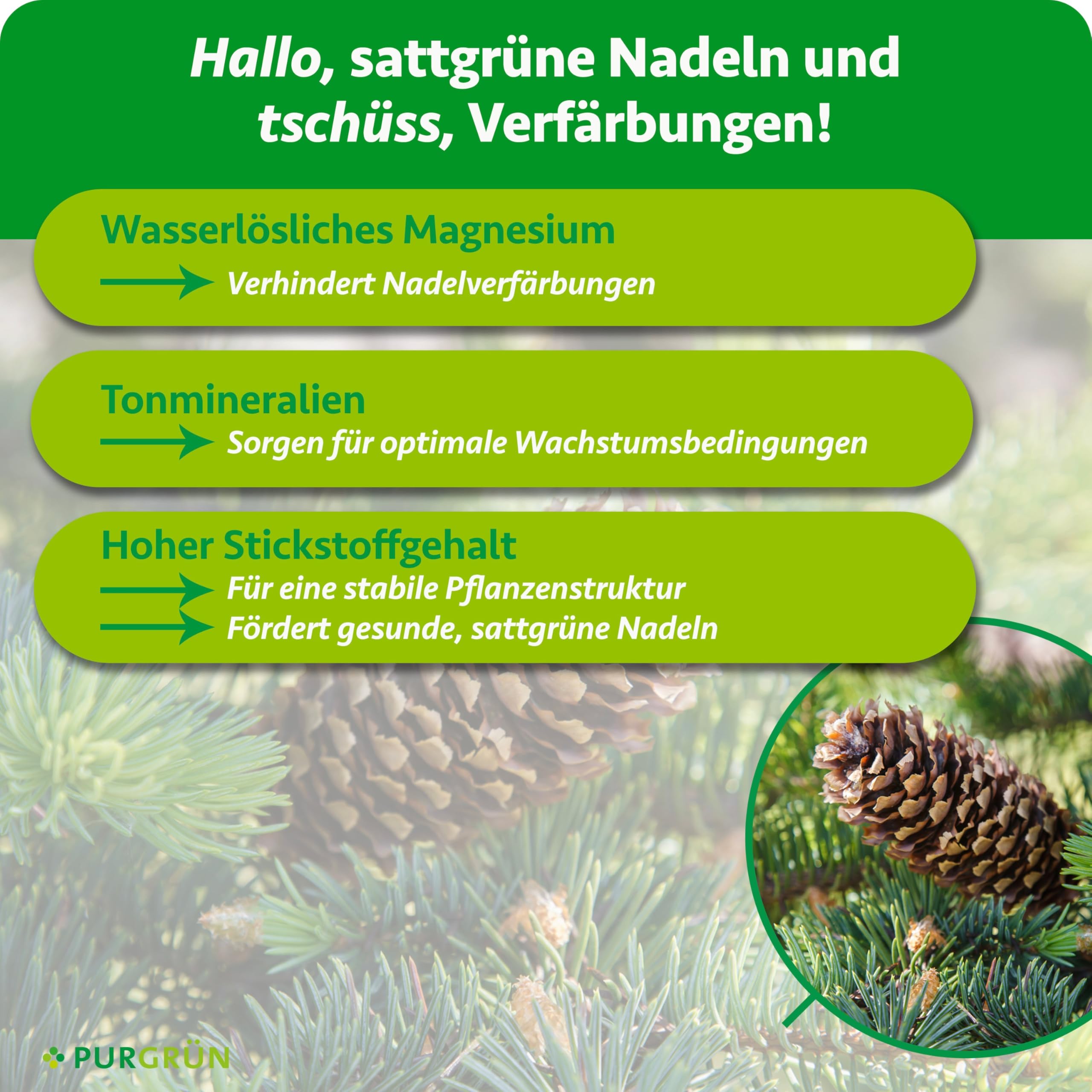 Koniferendünger 1 kg – Extra Magnesium für leuchtend grüne Nadeln – Verbessert die Bodenqualität – Organisch-mineralische Rezeptur – Feines Krümelgranulat – NPK 8+4+5 – Für 4-5 Pflanzen