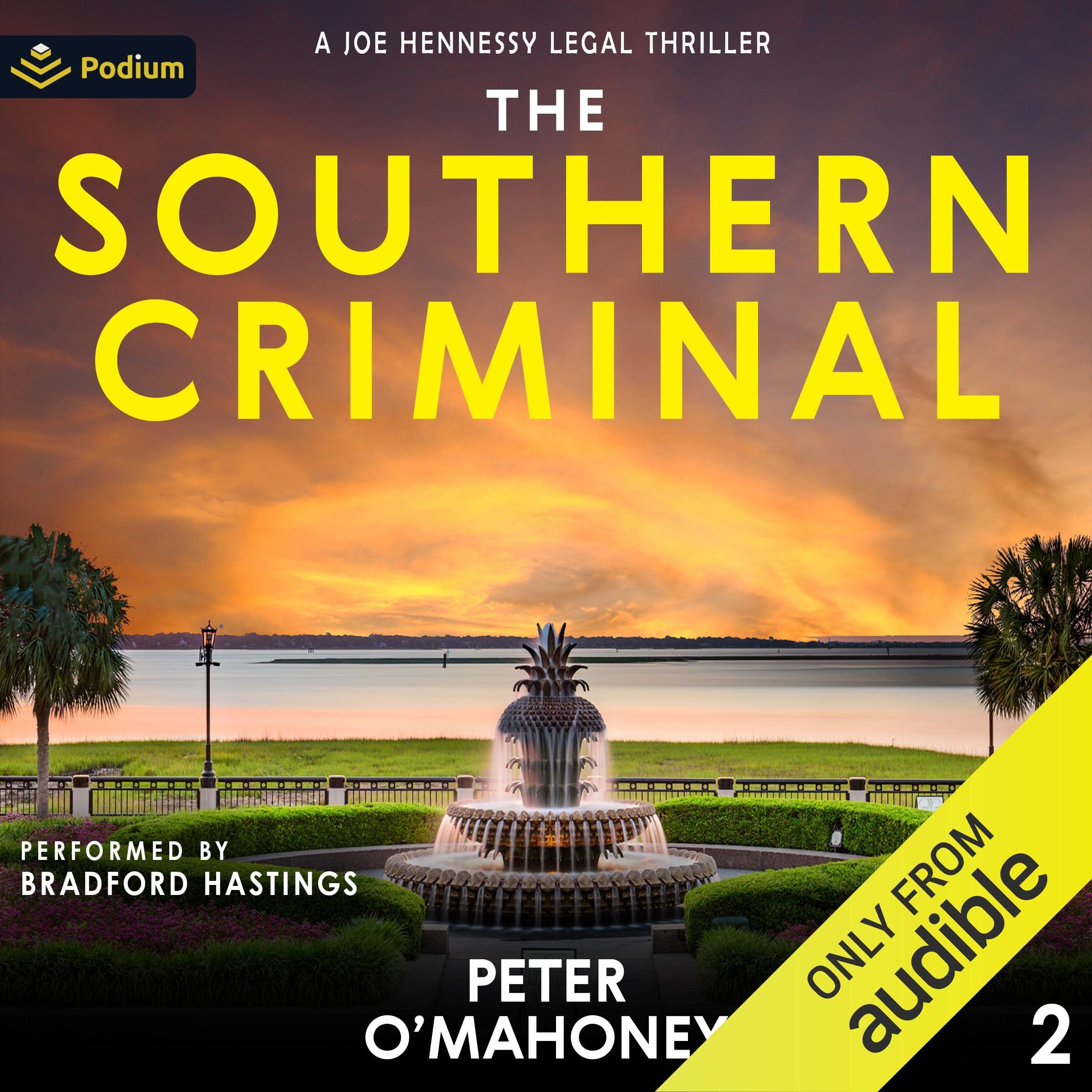 The Southern Criminal: Joe Hennessy Legal Thriller Series, Book 2