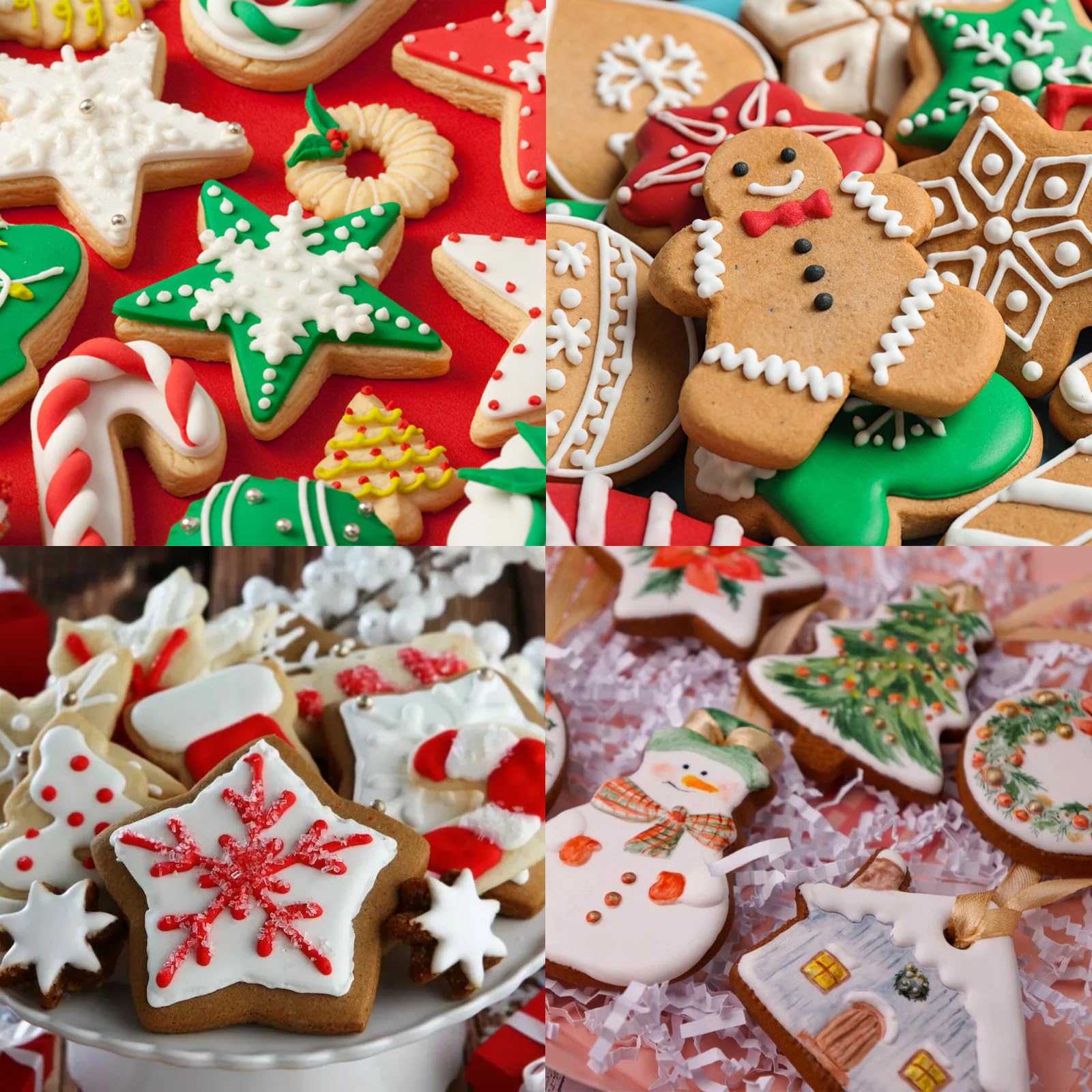 ROELLY 24 Pièces Emporte-Pièces Noël Acier Inoxydable - Biscuits Sapin, Flocons, Pain D'Épices