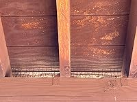 Review Image by Tony D