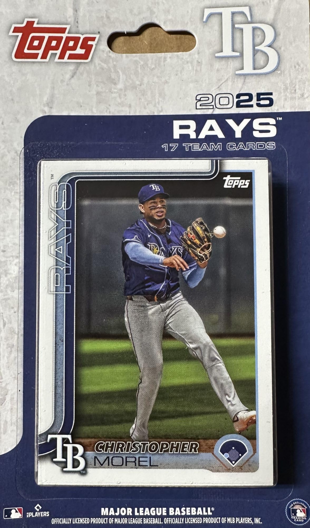 Amazon.com: Tampa Bay Rays 2025 Topps Factory Sealed 17 Card Team