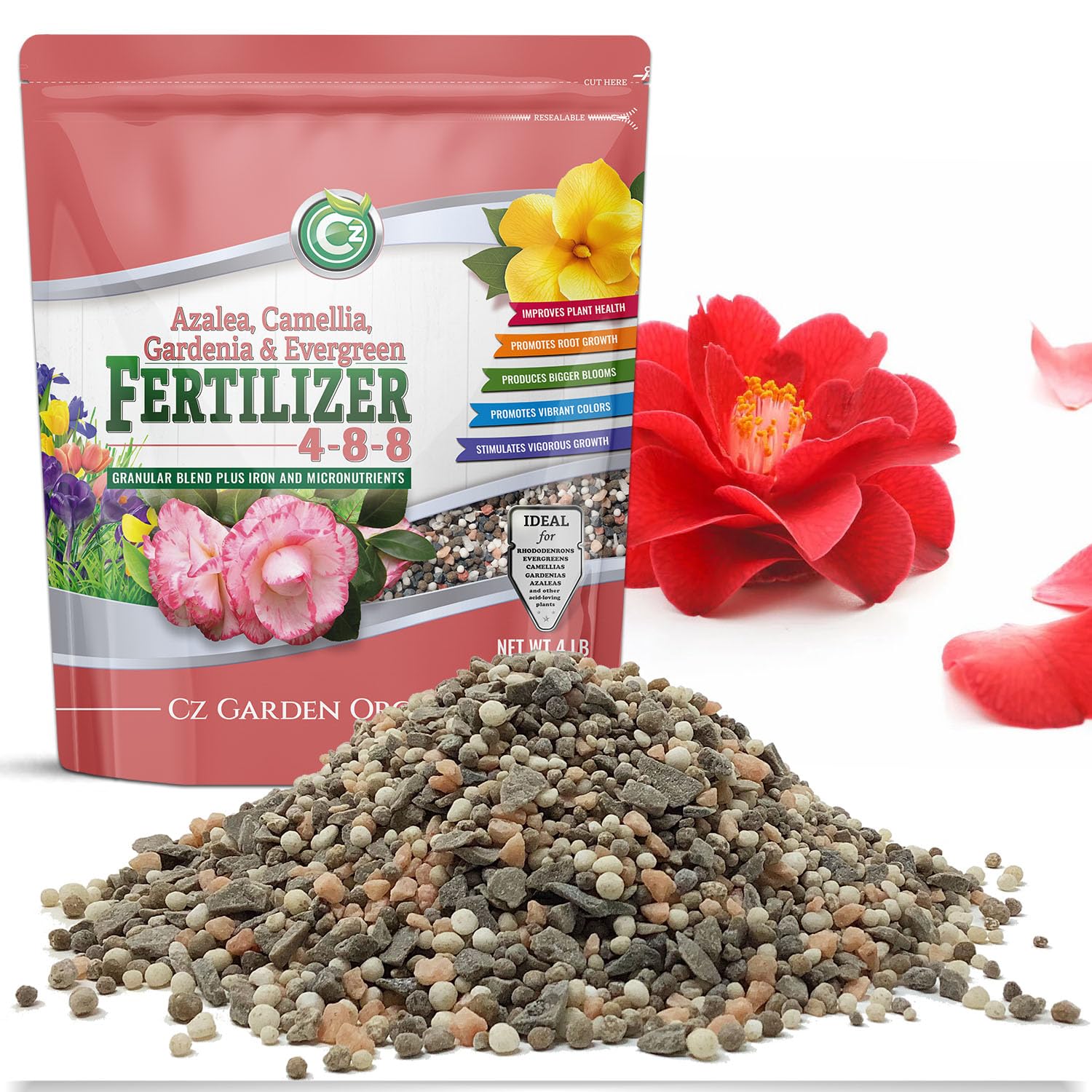 Amazon.com : 4-8-8 Azalea, Camellia, Gardenia & Evergreen