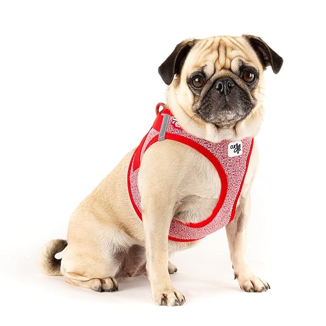 Foto 4 de 7 de curli Vest Harness Merino Clasp Red 3XS