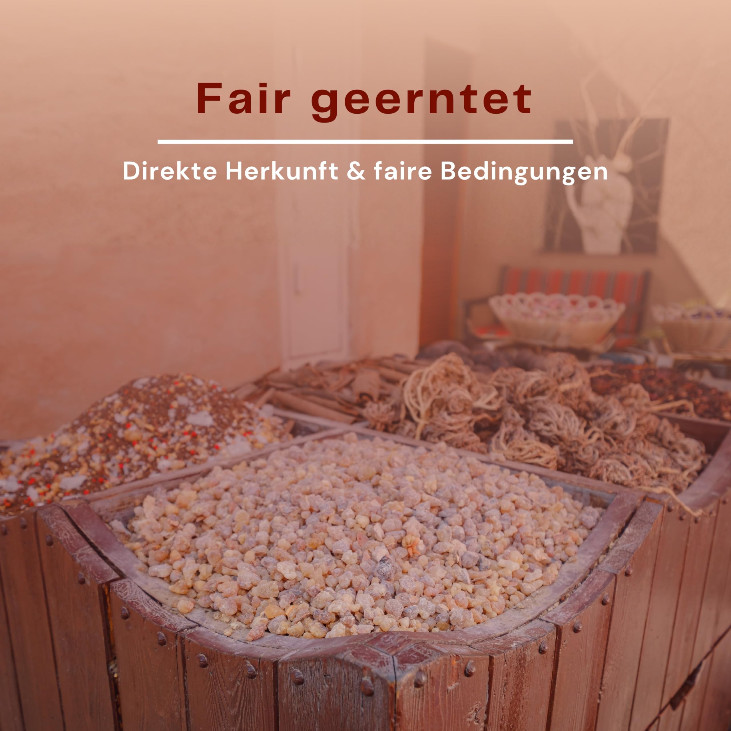 Premium Weihrauch Oman Al-Hojari Grad 3 – große Stücke – orange-braun – Boswellia Sacra – Direktimport 1. Qualität – 500g Packung (verfügbar von 20g bis 1000g)