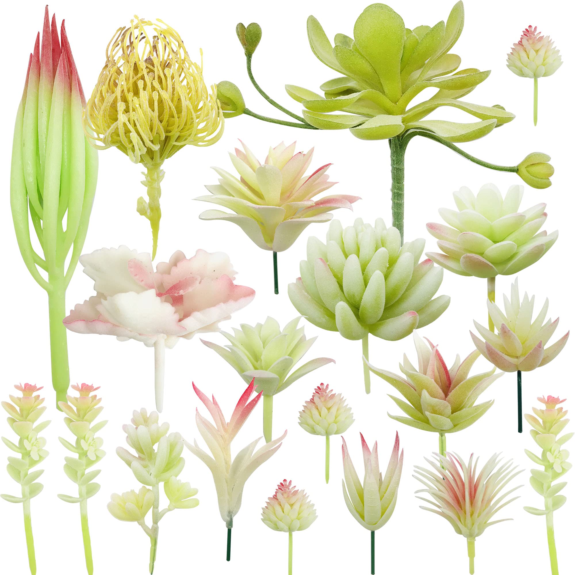 Woohome White Na 20 Pcs Artificial Succulents Picks Creamy Artificial Succulent Plants, Mixed Fake Succulent Assortment In Flocked For Indoor And Outdoor Home Decor Floral Arrangements