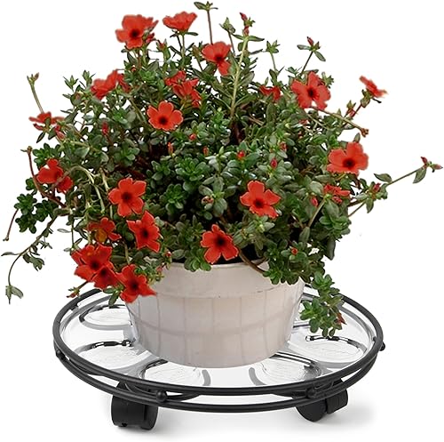 Miniatura 2 de SC14BK Saucer Caddy Deluxe, negro, 14 pulgadas