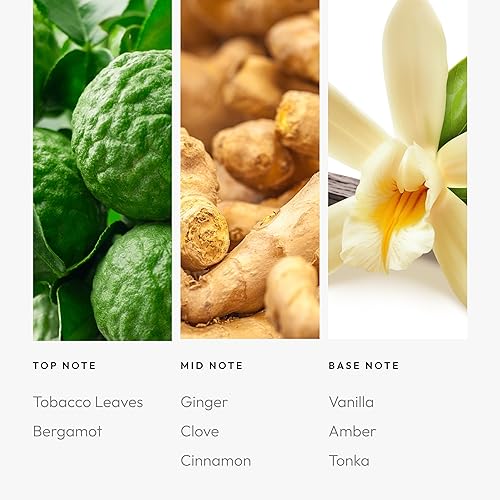 Miniatura 184 de Aroma360 Dream On - Mezcla de aceites aromáticos – 16.9 fl oz – Aceite difusor de aromaterapia perfumado con té blanco sereno, aloe vera curativo