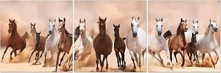 Canvas Wall Art Decor - 24x24 3 Piece Set (Total 24x72 inch)- Panoramic Galloping Horses - Large Decorative & Modern Multi Panel Split Canvas Prints for Dining & Living Room, Kitchen, Bedroom & Office